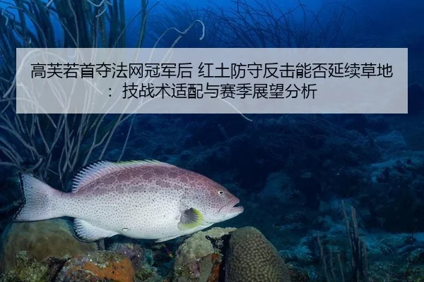 高芙若首夺法网冠军后 红土防守反击能否延续草地：技战术适配与赛季展望分析